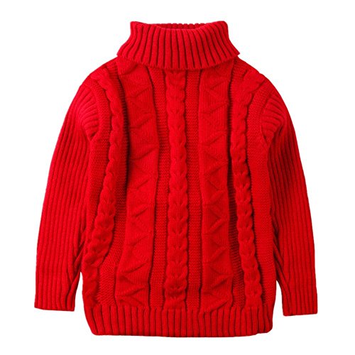 Toddler Baby Boy Girl Cable Knit Pullover Sweater Cotton Lined Warm Sweatshirt (2-3 Years/Height 34-38 inch, Red)