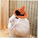 balacoo Hat Decoration for Pets Adorable Accessory for Hamsters and Guinea Pigs for Halloween Costumes and Festive Occasions Lightweight and Comfortable