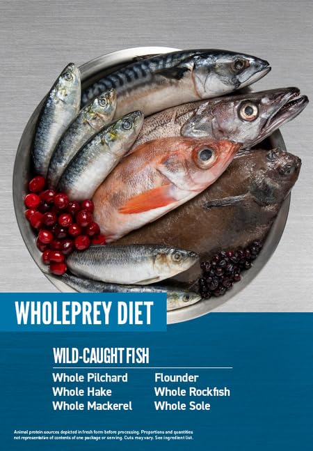 Orijen Cat Six Fish | dwupak | 2 x 340 g | pełnoporcjowa karma dla dorosłych kotów | 85% wysokiej jakości składników pochodzenia zwierzęcego | ryby, podroby, kości | naturalny smak