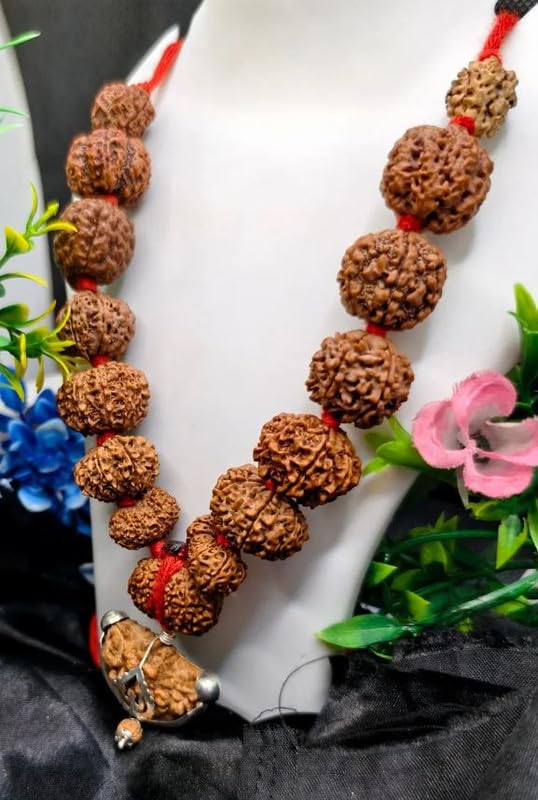 Astro Cart Sarva Siddha Mala Nepal 1 To 14 Mukhi Rudraksha Mala एक से चौदह मुखी रुद्राक्ष माला Ek Se Chaudah Mukhi Rudraksha Ki Malaa With Guari Shankar & Ganesh Rudraksh Nepal Beads Blessed Shiva For Dhyan 3
