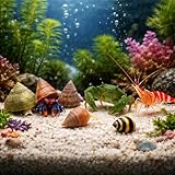 Clean Up Crew Pack Live Coral Reef Tank for...