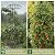 Garden Obelisk Trellis for Climbing Plants Outdoor | 64 Inch Rustproof Plastic Coated Mushroom Top Trellis for Potted Plants, Vines, Roses, Clematis