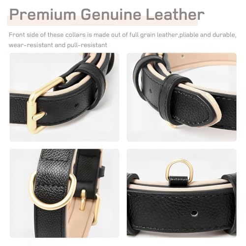 HEELE Hundehalsband, Halsband Leder mit gepolstert und echtes Leder, Verstellbar für Welpen Kleine Mittel Grobe Hunde, Schwarz, M
