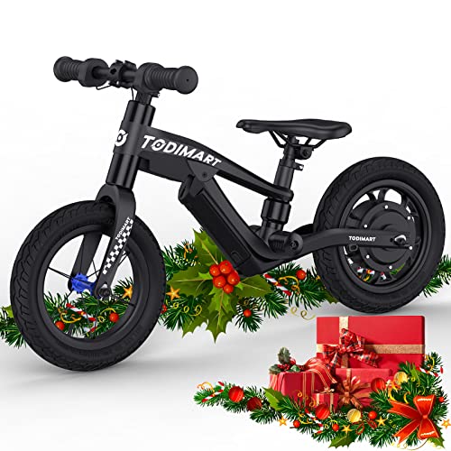 Top 8 Best Electric Bike No Pedals In 2024 Features, Reviews, and FAQs