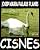 Capa de CISNES [PT]
