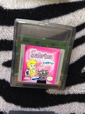 Sabrina: The Animated Series -- Zapped (Nintendo Game Boy Color, 2000)