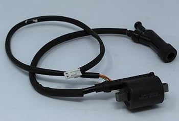 Amazon.com: Ignition Coil Module For Champion Part# 30400-Z980110