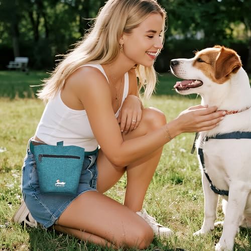 TAIHOYIN Hund Reisetasche Flugzeug Haustier Reiseset für Hundezubehör mit 2 Futtertasche+2 Zusammenklappbare Schüsseln+Fütterungsmatte+Hundeleckerli Tasche Hundetragetasche für Unterwegs, Blau grün