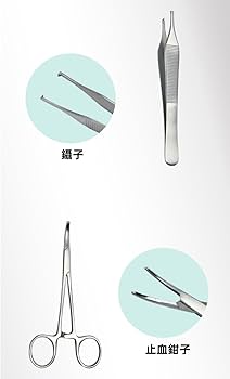 Amazon.co.jp: 歯科用練習キット 歯模型 実物大 取り外し可能