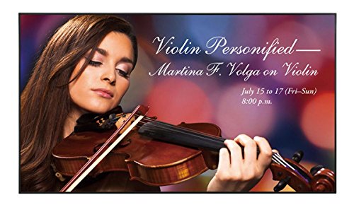 Sharp PN-R496 Digital Signage Display