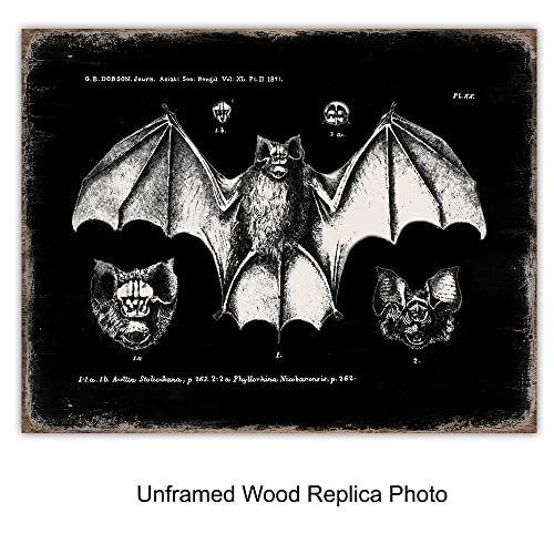 Yellowbird Art & Design Black Bats Gothic Wall Decor - Vintage Retro Wall Art & Decor - Room Or Home Decor - Hipster Decoration - Horror Vampire Bat Gift thumb #1