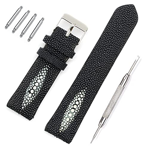 [Fb^] GCv rv oh xg K[V XeBOC `R[O[ |Cg 21mm ol_ ol_Ot [090-4stb21-1]