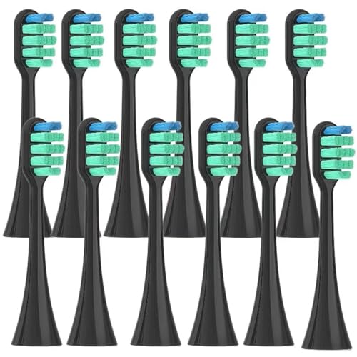 �d�����u���V�����p�u���V�w??�b�h - ��?�i �p�i�\�j�b�N EW-DC02 EW-PDA52 EW-PDL34 EW1031 EW-DC70(12 Black toothbrush heads)