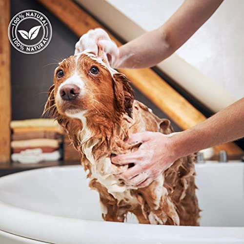 Rosa Grapefruit-Shampoo für Hunde und Katzen, speziell für mittleres Fell - Linie Fruits - 500 ml - Tönt und regeneriert den Haarmantel - hergestellt mit natürlichem Duft - IV San Bernard