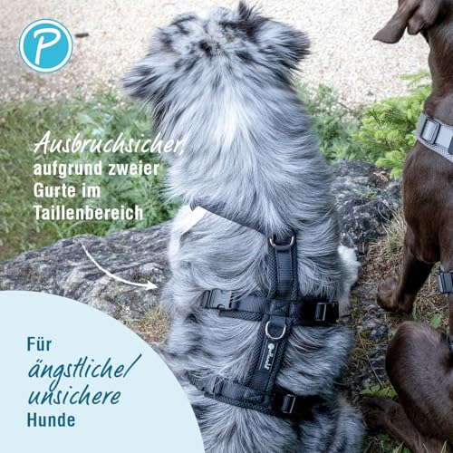 Petlando Sicherheitsgeschirr, ausbruchsicheres Hundegeschirr mit extra Bauchgurt, weich gepolstert mit Mesh, atmungsaktiv, robust, stufenlos verstellbar, Geschirr für kleine Hunde, Petrol, S