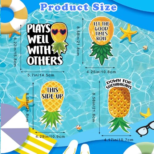 Imanes decorativos piña grandes set 4 piezas miniatura 2