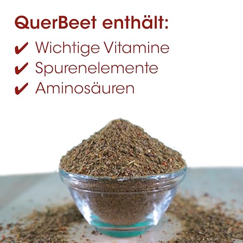 Fit-BARF QuerBeet für Hunde 2,5kg - Ergänzungsfutter Gemüse-Obst-Pulver für gesunde Rohfütterung