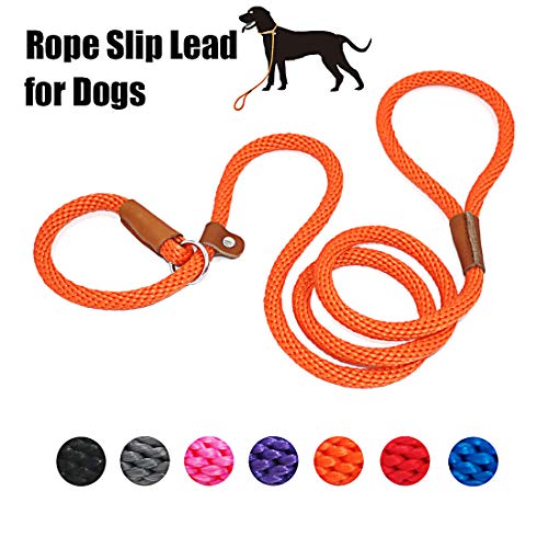 lynxking Dog Leash Slip Rope Lead Leash Strong Heavy Duty Braided Rope No