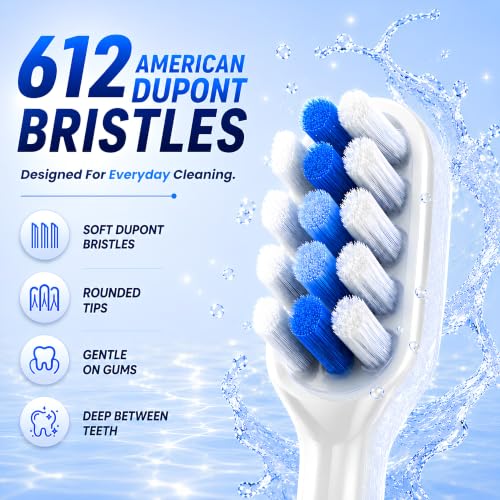 Image of SweepElite Electric Toothbrush with UV Toothbrush Sanitizer Holder Combo | 45 Sweeping Arc Technology, 21,000-38,000 VPM, 4 Modes, USB-C Rechargeable, 4 Brush Heads