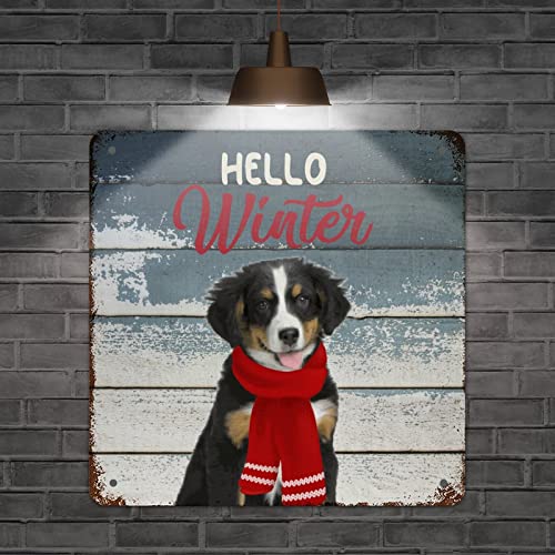 Panneau de Noël rustique Hello Winter pour décoration murale salon - 3
