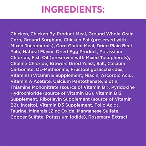 Iams Proactive Health Healthy Kitten Dry Cat Food With Chicken, 7 Lb. Bag #TOP3