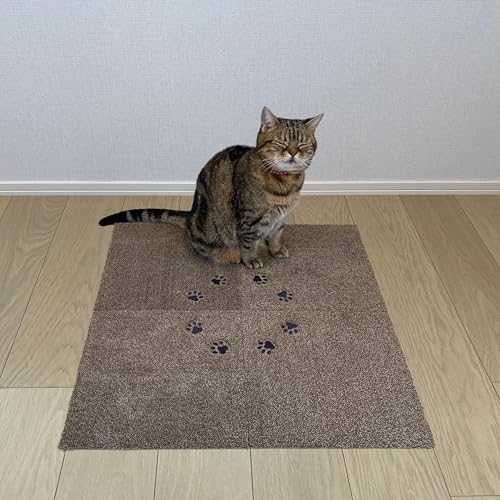 Rugtasu O^X ^CO ~j ĂĂ 30×30cm ݖ7mm ^CJ[ybg hJ @OK uݒu ~߉H t[Jbg ybgΉ ӂӂ 炩 (uE, 1)