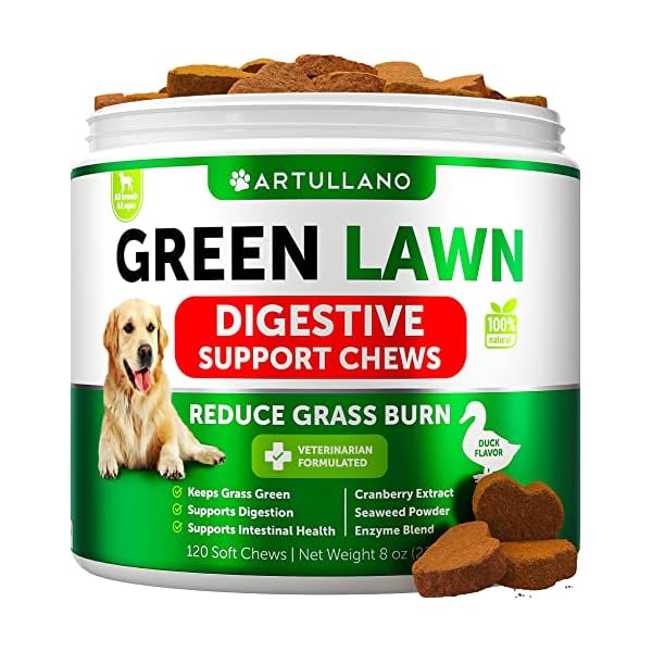 Grass Burn Spot Chews for Dogs – Dog Pee Lawn Spot Saver Caused by Dog Urine – Grass Treatment Rocks – Cranberry + Digestive Enzymes – Dog Urine Neutralizer for Lawn Grass Burn Spot Chews for Dogs – Dog Pee Lawn Spot Saver Caused by Dog Urine – Grass Treatment Rocks – Cranberry + Digestive Enzymes – Dog Urine Neutralizer for Lawn