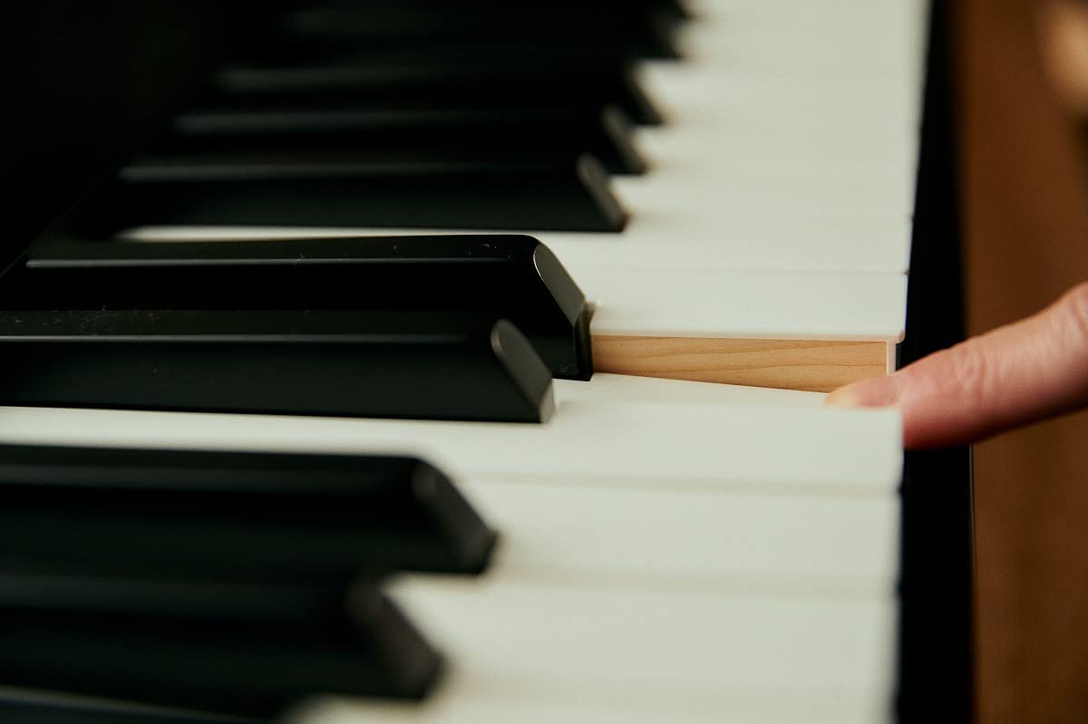 Casio Privia PX-S5000 88 Tasti Pianoforte Digitale, Nero