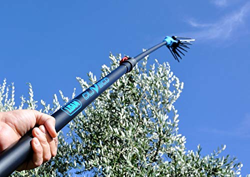 Abbacchiatore Pettine Elettrico LISAM OLIVECO Raccolta Olive Leggero e maneggevole Made in Italy AMDGarden