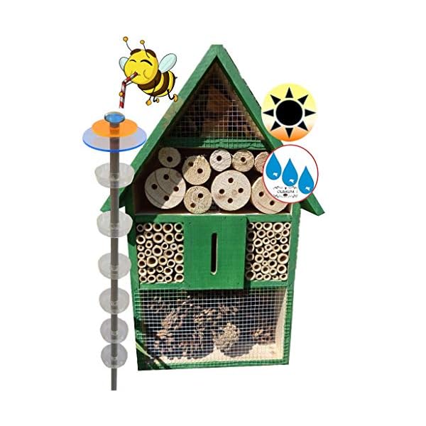 BTV XXL Gartendeko-Stecker mit Lichteffekt, Sonnenfänger als funktionale Bienentränke + 1x Lotus BIENENHAUS Insektenhaus…