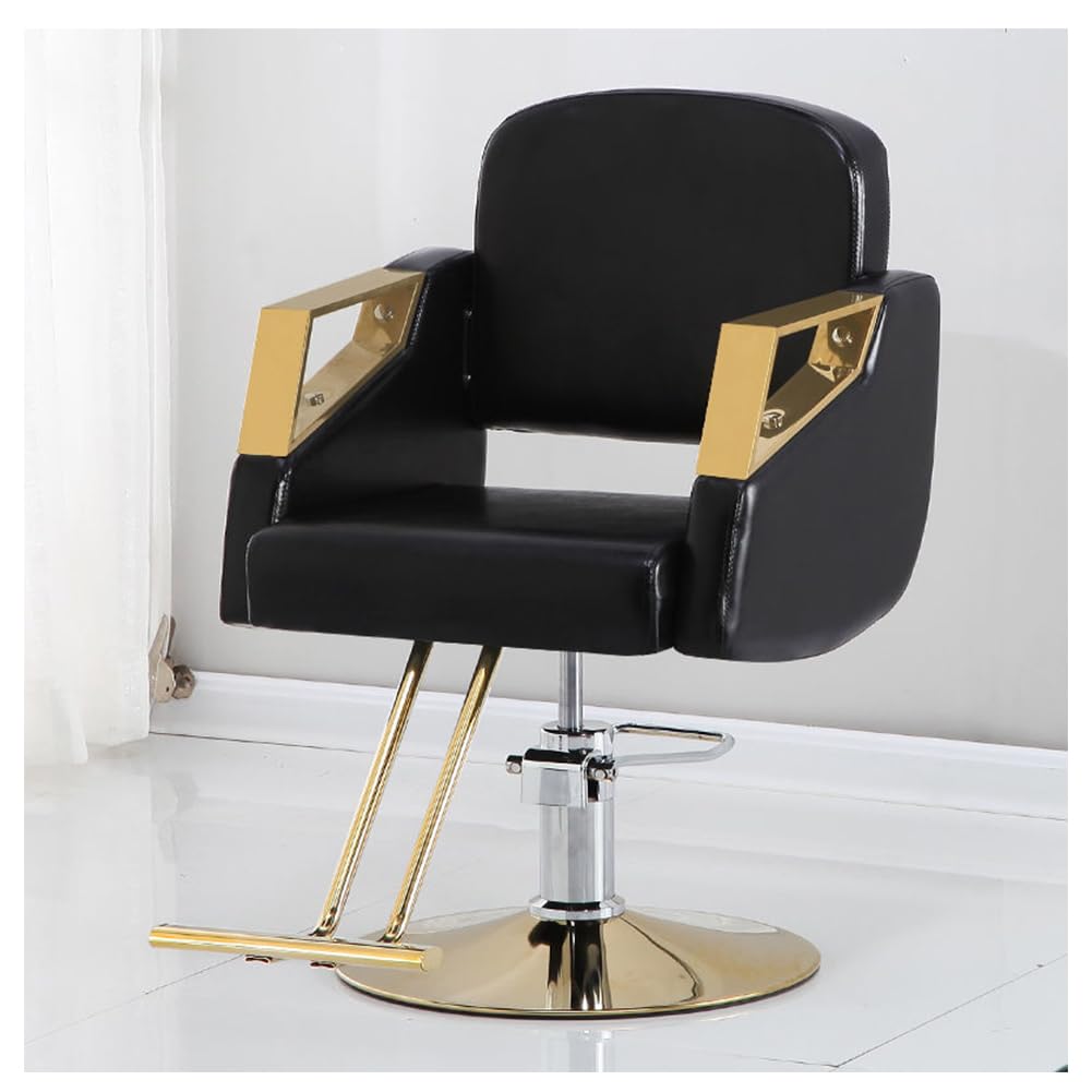 OZBMA Barber Stylist, Styling Heavy Duty Hydraulic Pump, 360° Swivel Hair Salon Chair with Footrest for Beauty Spa Shampoo, Max Load Weight 330 Lbs,D (G)