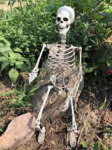 Scheletro in plastica for tutto il corpo con snodo...