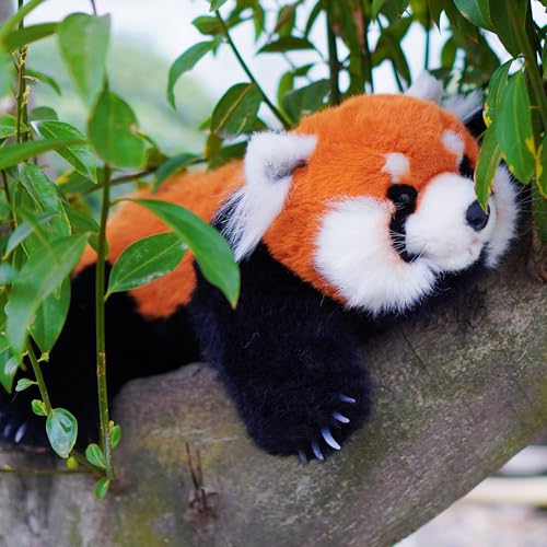 Chongker Weighted Red Panda