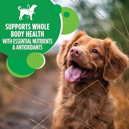 IAMS-Adult-Minichunks-Small-Kibble-High-Protein-Dry-Dog-Food-with-Real-Chicken-7-lb-Bag