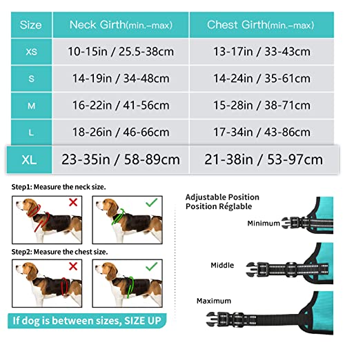 HEELE Dog Harness with Padded Handle Control, Reflective, 2 Metal Rings - Harness for Small to Large Dogs Turquoise, XL - Image 2