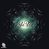  The Illusion (Perfectone Remix)