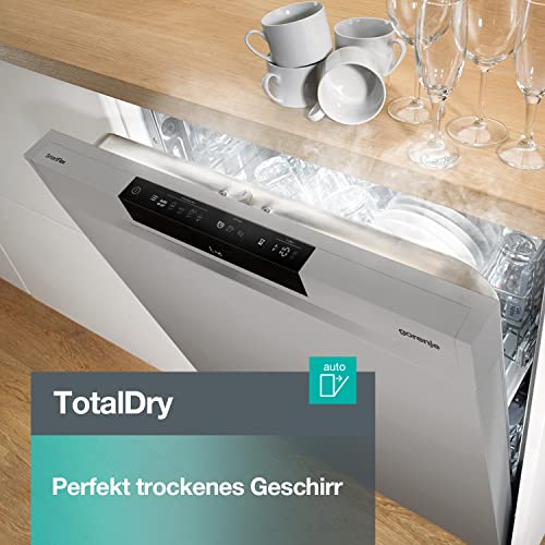 Gorenje GS 541D10 X Freistehender Geschirrspüler / SuperSilent / 11 Maßgedecke / 5 Programme / Programmanzeige / TotalDry / Silber, 45 cm breit