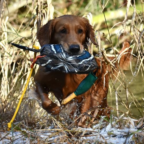 Sporting Saint Dead Bird Entendummy Pro – Realistischer Apportierdummy Ente, ca. 700g, schwimmfähig, mit Flügeln & Wurfschnur, für Dummytraining & Jagdhundetraining