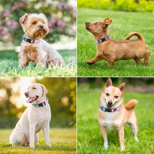 Collier réfléchissant pour chien nylon bleu M réglable et résistant - 7
