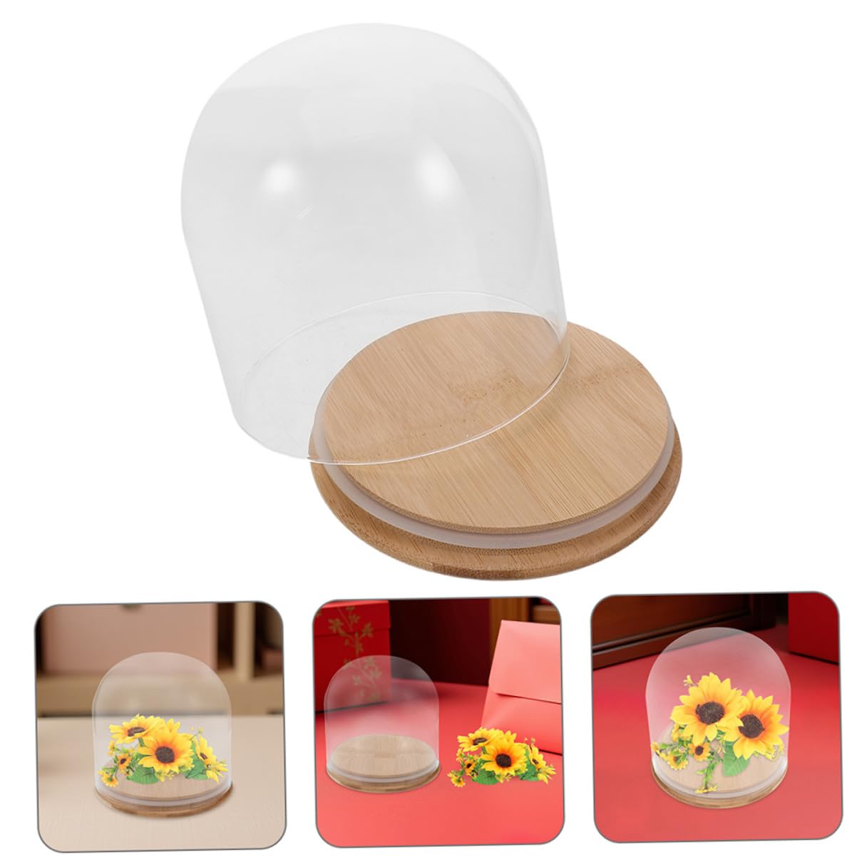 Cloche en verre avec cloche cylindrique en forme de fleur éternelle 15 x 15 cm avec base en bambou pour décoration d'intérieur et vitrine d'objets de collection
