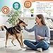 Dog Calming Pheromones Diffuser to Calm Pet 12 In 1 Advanced Kit Appeasing Pheromone Diffuser for Anxiety Relief (5 Plug in+7 Pack 48ml Refill) Reduce Aggression Fighting Barking Stress (Tasteless)