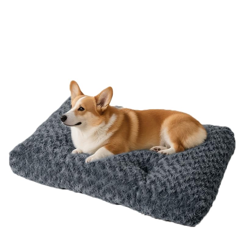 Innovista 犬 ベッド クッション 秋冬 ペットベッド 洗える 起毛 フワフワ 暖かい 滑り止め 毛が抜けにくい キャットベッド 寝床 ペットマット 小型犬 犬猫兼用 ダークグレー (80*55*10CM)