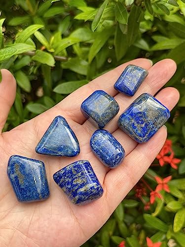 Image of GAF TREASURES 1 /2 LB Lapis Lazuli Tumbled Stones, Polished Lapis Lazuli Gemstone, Lapis Lazuli Healing Crystals (Lapis Lazuli)