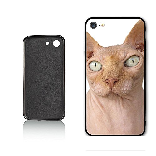 HYBSJKS Cat Bald Hairless Hangover Kitten Shell