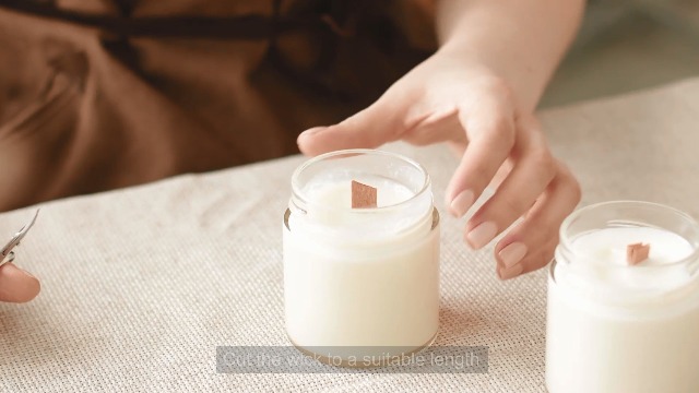 Beeswax Pellets 906g(32 oz), Organic White Bees Wax for DIY Candles, Traditional Beeswax Beads Pastilles Multipurpose for Candle Making, Skin Body, Furniture Care, Leather Care,Facial Cream, Soap