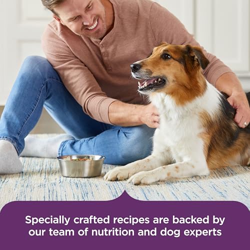 Nutrish Hearty Recipes Wet Dog Food Variety Pack, 8 oz. Tubs (Rachael Ray) - image 6