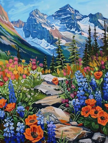 Kit broderie diamant montagne 5D 60x80cm grand format adulte