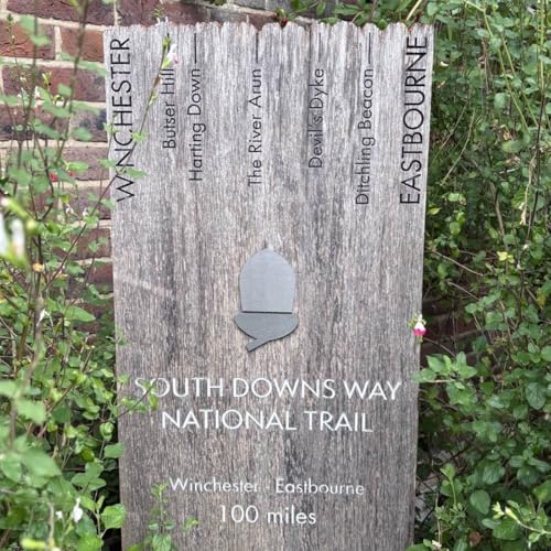 The wild idea, overconfidence, and the reality check