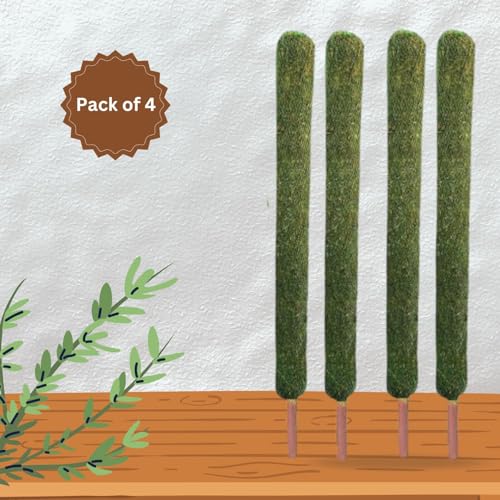 Image of IQNEX Plant Support Moss Stick- Green Grass Pole for Plants Support, Support Stick for Money Plant, Climbing Indoor Plants (Set-4, 4ft)