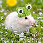 4 pieces hamster hat mini small animals hat with adjustable strap lovely hand knitted frog rainbow carrot tiny hats for lizard guinea pig reptile christmas holiday party clothes costume accessories 14 51lh8qqrldl. Sl500. Ss150